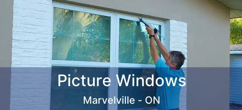 Picture Windows Marvelville - ON