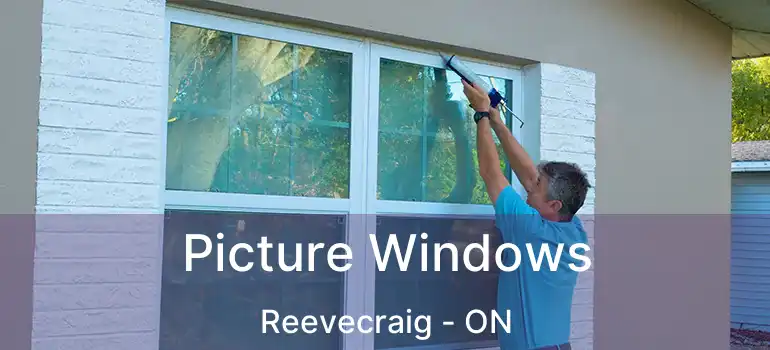  Picture Windows Reevecraig - ON