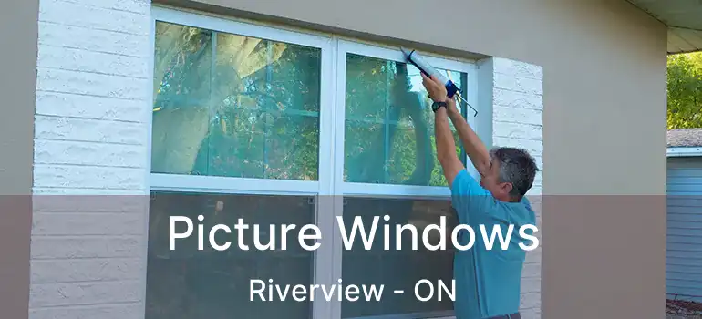  Picture Windows Riverview - ON