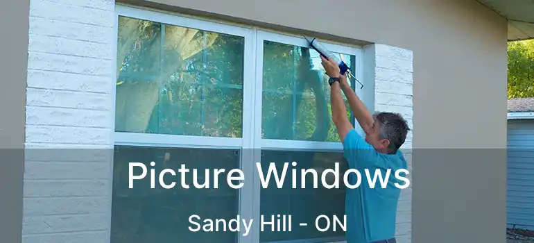  Picture Windows Sandy Hill - ON