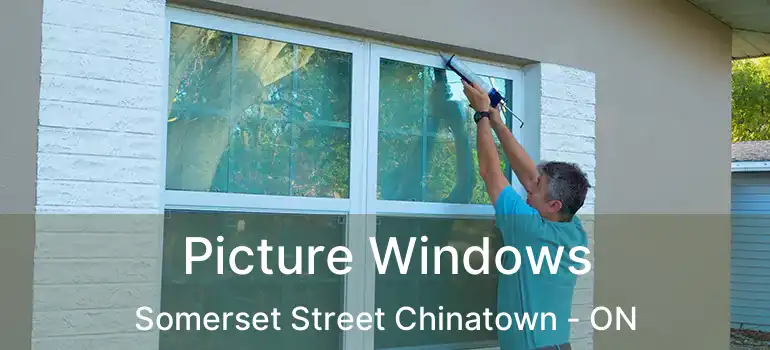  Picture Windows Somerset Street Chinatown - ON