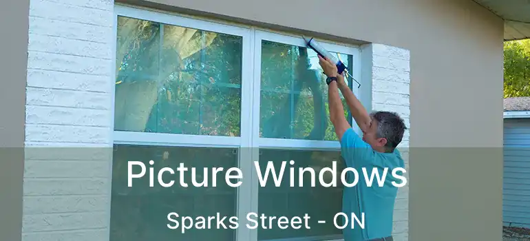 Picture Windows Sparks Street - ON