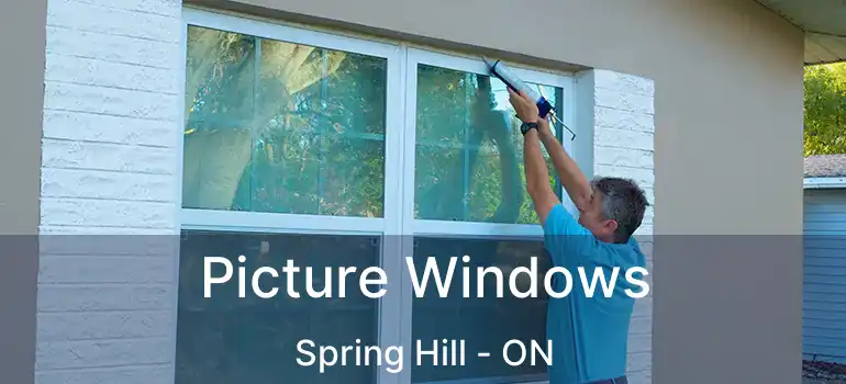  Picture Windows Spring Hill - ON