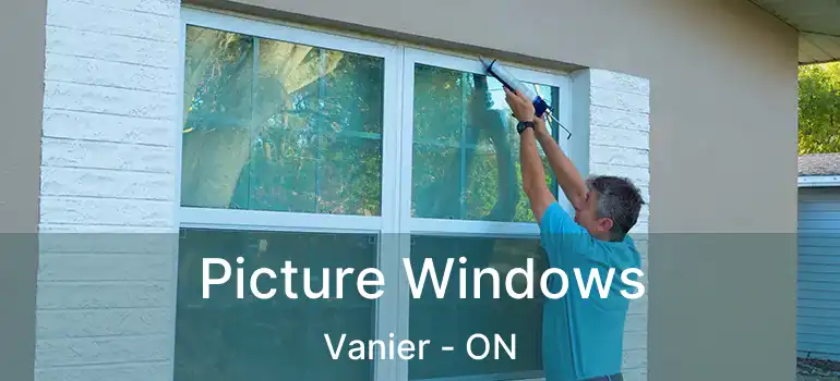  Picture Windows Vanier - ON