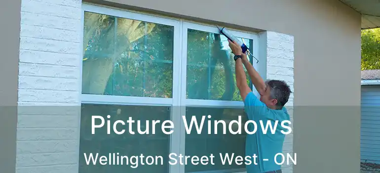  Picture Windows Wellington Street West - ON