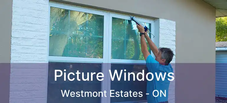  Picture Windows Westmont Estates - ON
