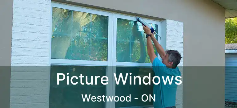  Picture Windows Westwood - ON