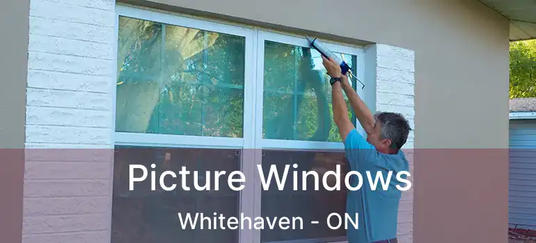  Picture Windows Whitehaven - ON