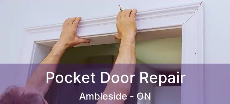  Pocket Door Repair Ambleside - ON
