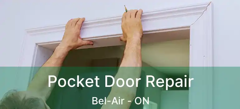  Pocket Door Repair Bel-Air - ON