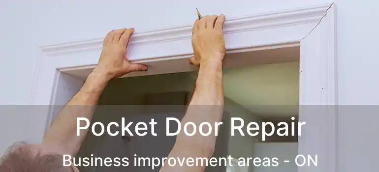  Pocket Door Repair Business improvement areas - ON