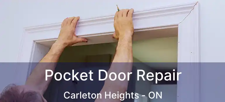Pocket Door Repair Carleton Heights - ON