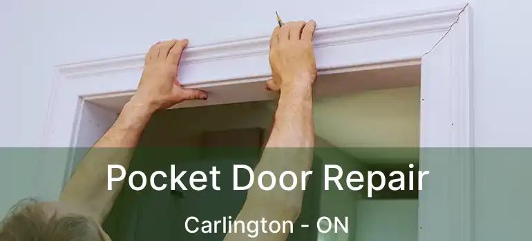 Pocket Door Repair Carlington - ON