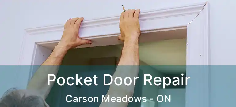Pocket Door Repair Carson Meadows - ON