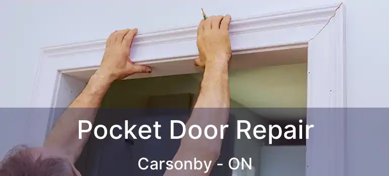 Pocket Door Repair Carsonby - ON
