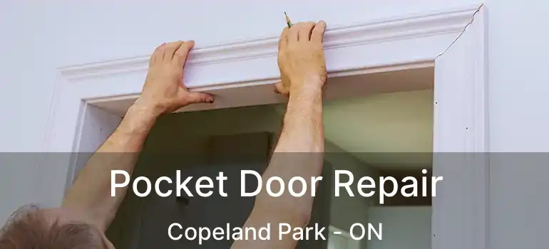  Pocket Door Repair Copeland Park - ON
