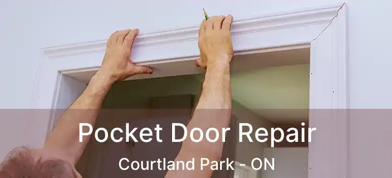  Pocket Door Repair Courtland Park - ON