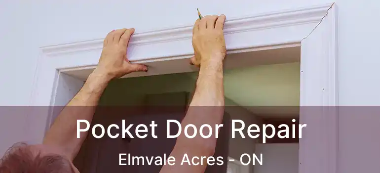 Pocket Door Repair Elmvale Acres - ON