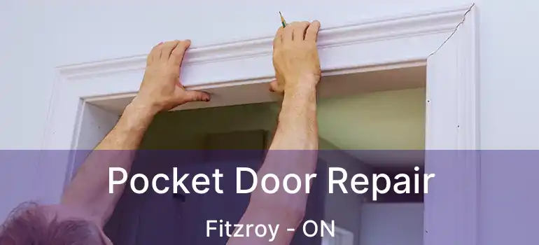 Pocket Door Repair Fitzroy - ON