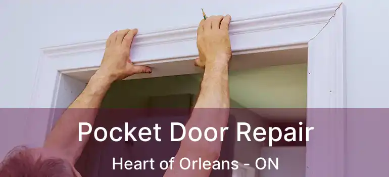  Pocket Door Repair Heart of Orleans - ON