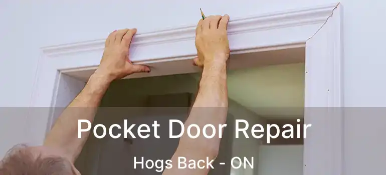 Pocket Door Repair Hogs Back - ON