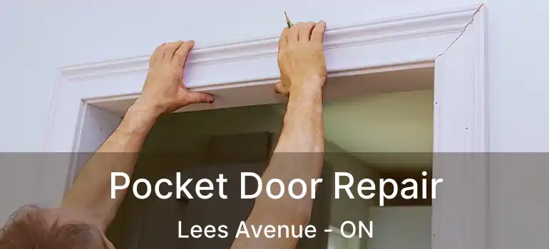  Pocket Door Repair Lees Avenue - ON