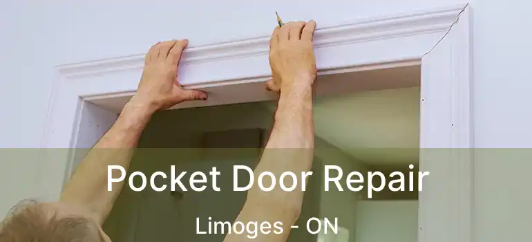  Pocket Door Repair Limoges - ON