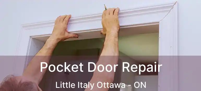  Pocket Door Repair Little Italy Ottawa - ON