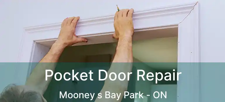  Pocket Door Repair Mooney s Bay Park - ON