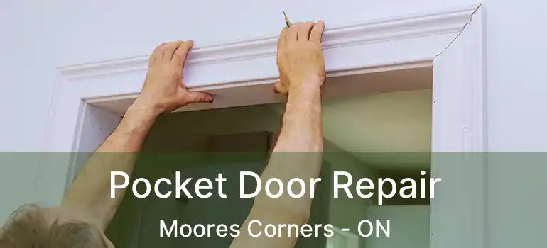  Pocket Door Repair Moores Corners - ON