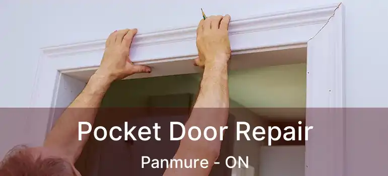  Pocket Door Repair Panmure - ON