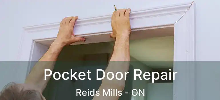 Pocket Door Repair Reids Mills - ON
