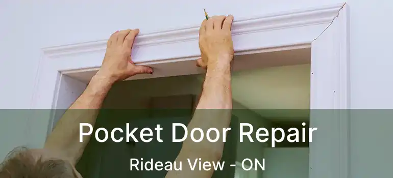 Pocket Door Repair Rideau View - ON