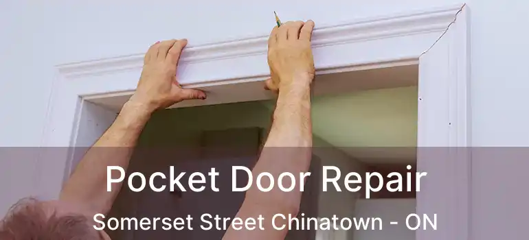  Pocket Door Repair Somerset Street Chinatown - ON