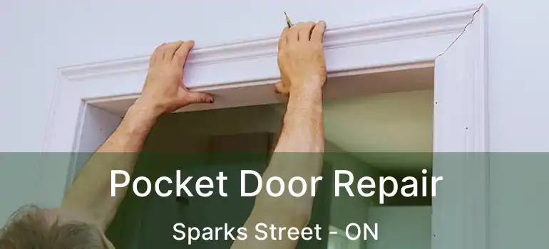 Pocket Door Repair Sparks Street - ON