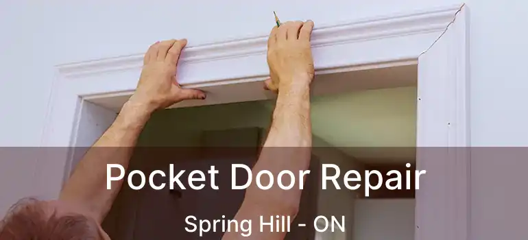  Pocket Door Repair Spring Hill - ON