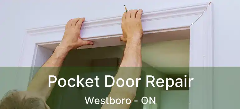  Pocket Door Repair Westboro - ON