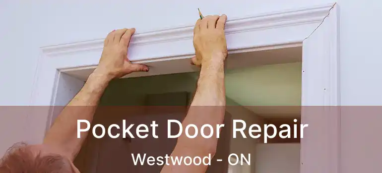  Pocket Door Repair Westwood - ON
