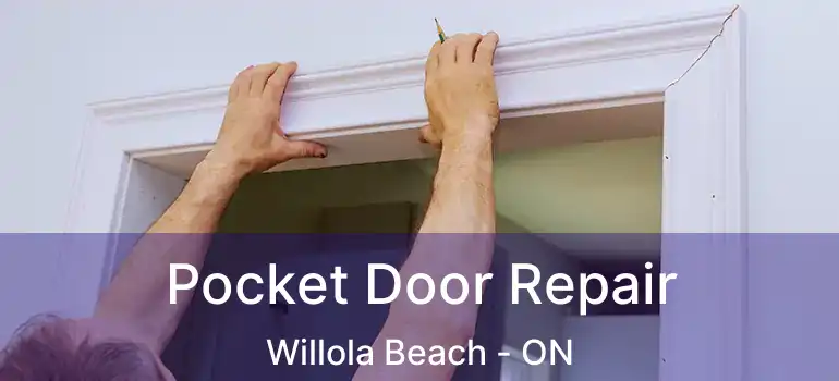  Pocket Door Repair Willola Beach - ON