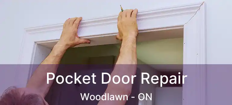  Pocket Door Repair Woodlawn - ON