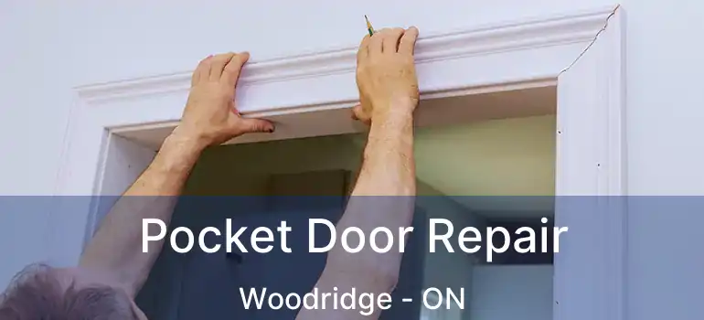  Pocket Door Repair Woodridge - ON