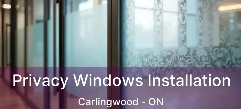  Privacy Windows Installation Carlingwood - ON