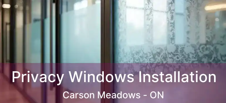  Privacy Windows Installation Carson Meadows - ON