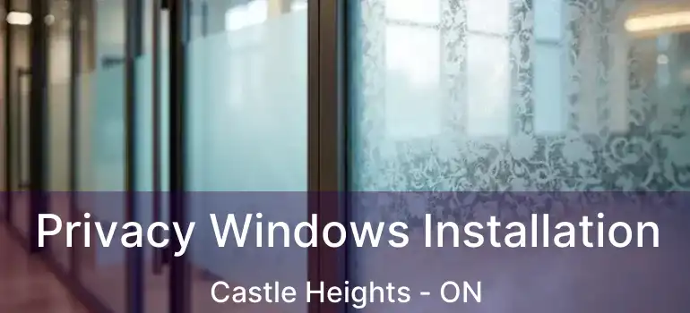 Privacy Windows Installation Castle Heights - ON