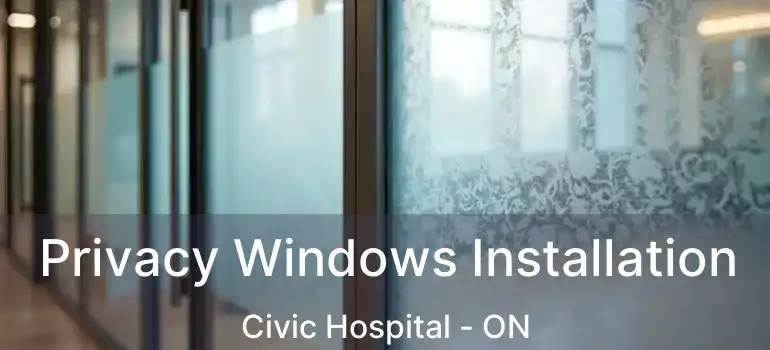  Privacy Windows Installation Civic Hospital - ON