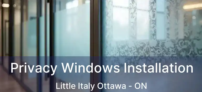  Privacy Windows Installation Little Italy Ottawa - ON