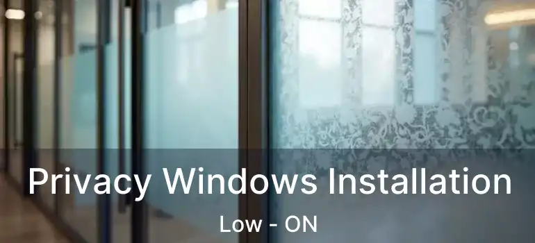  Privacy Windows Installation Low - ON