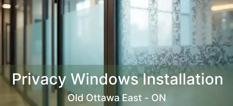  Privacy Windows Installation Old Ottawa East - ON