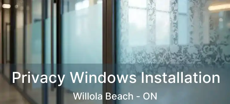 Privacy Windows Installation Willola Beach - ON