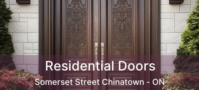 Residential Doors Somerset Street Chinatown - ON